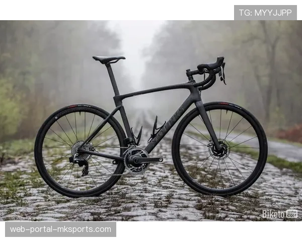 通讯:本土品牌崛起,中国碳纤维车架在全球OEM市场份额提升至35% 通讯:本土品牌崛起,中国碳纤维车架在全球OEM市场份额提升至35%